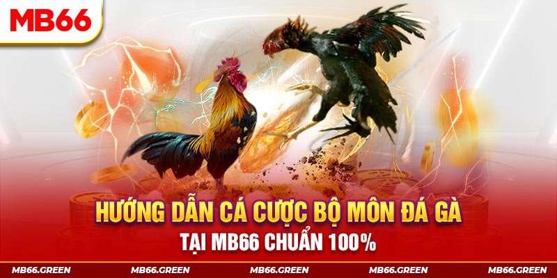 cwin888 xổ số bình định