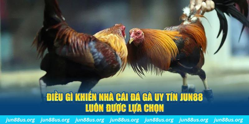 cwin888 qq88 nổ hũ bắn cá