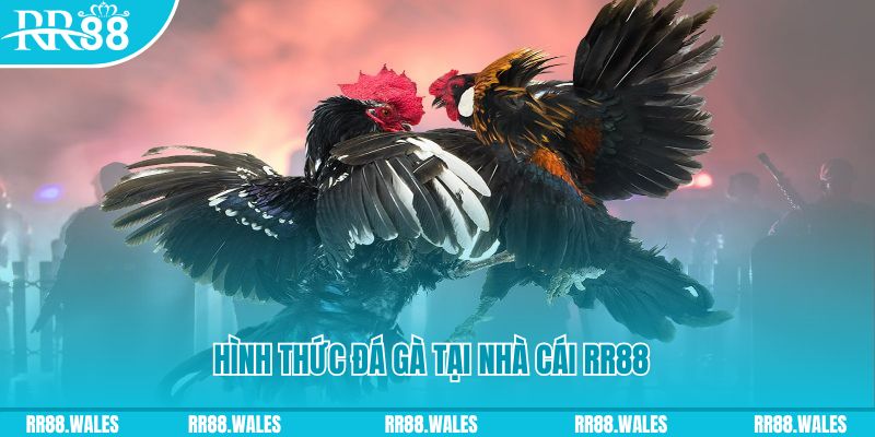 cwin888 xin 1 slot là gì