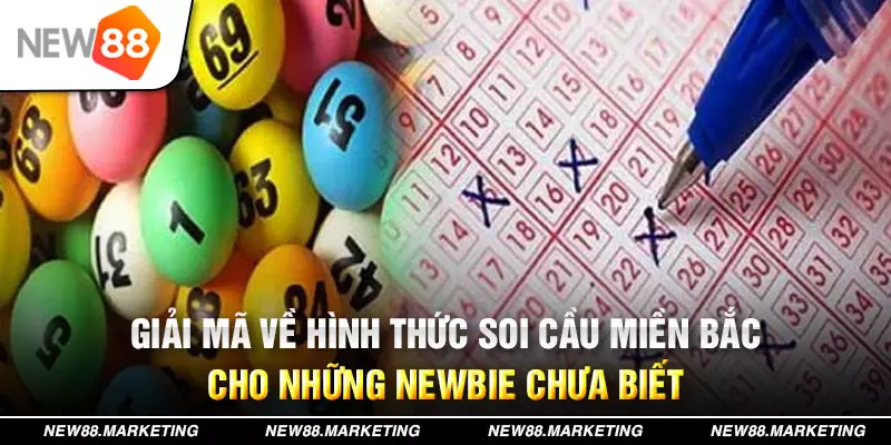 cwin888 đăng nhập mậu binh live