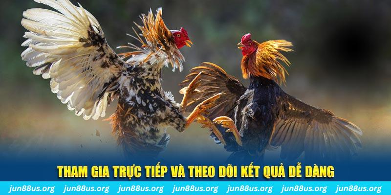 cwin888 đá gà trực tiếp bình luận viên
