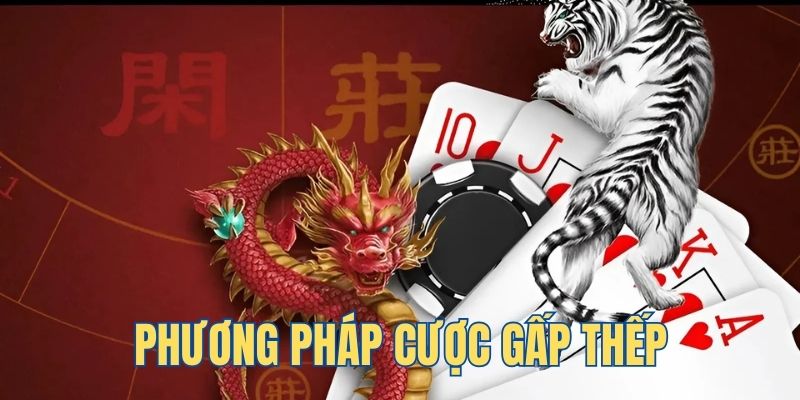 cwin888 ga choi