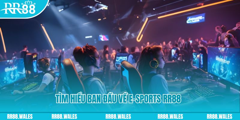 cwin888 Đĩa màu ace