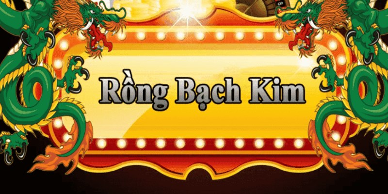 cwin888 đăng nhập roulette 2025