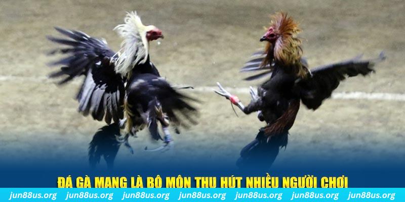 cwin888 xổ số cà mau