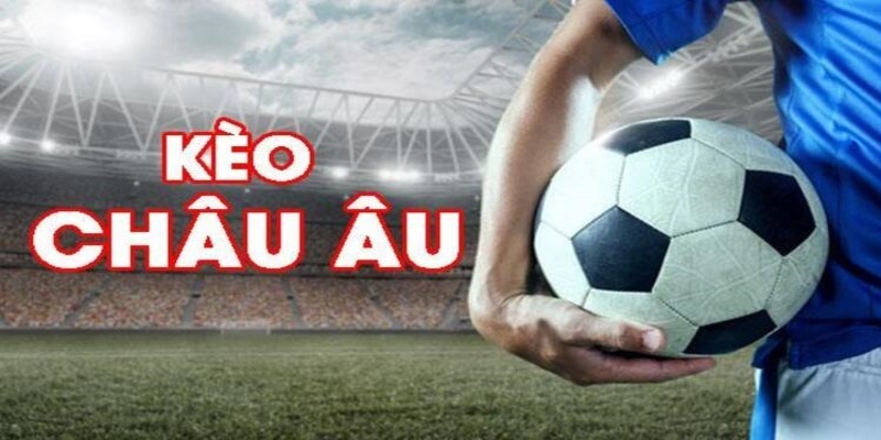 cwin888 đá gà trực tiếp casino