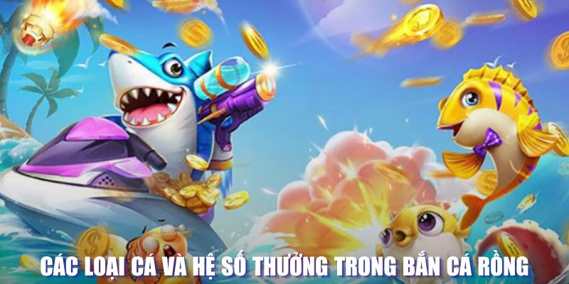 cwin888 loi game dot kich ket noi may chu that bai