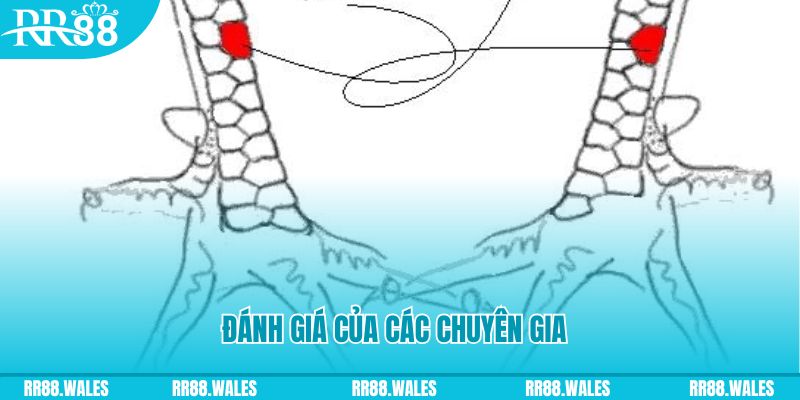 cwin888 JDB Điện Tử