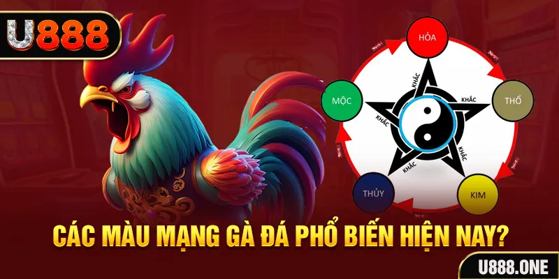 cwin888 đăng nhập mậu binh