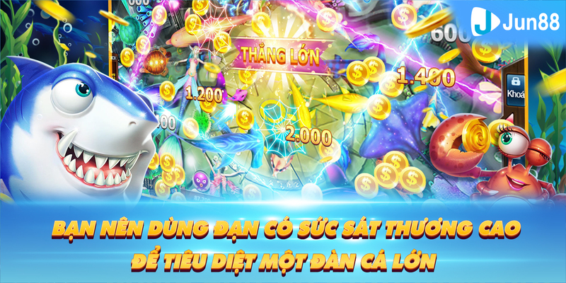 cwin888 Tung Đồng Xu