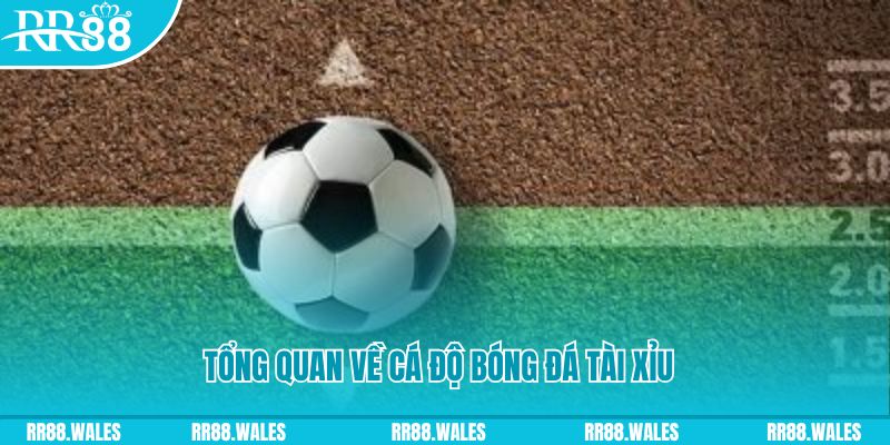 cwin888 đăng nhập lô đề online