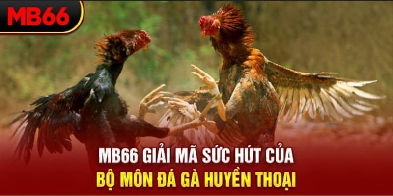 cwin888 Phi Đội Ưu Tú