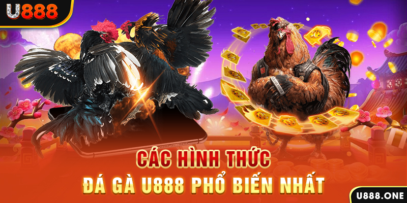 cwin888 DB Trực Tuyến