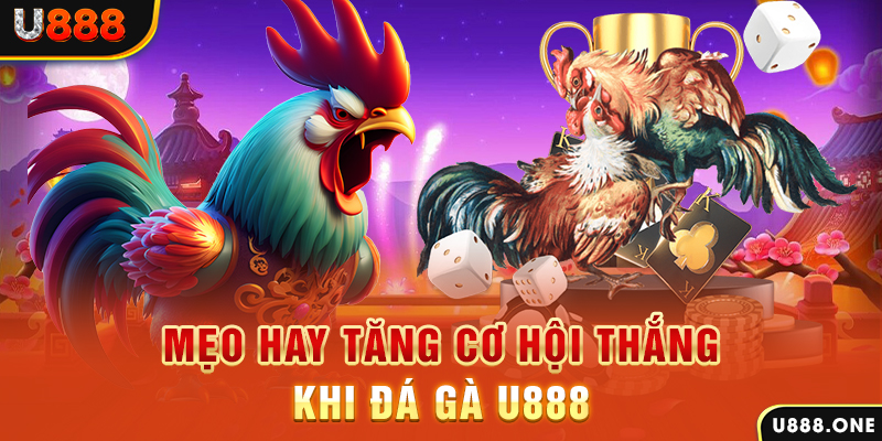 cwin888 trực tiếp gà chọi c1