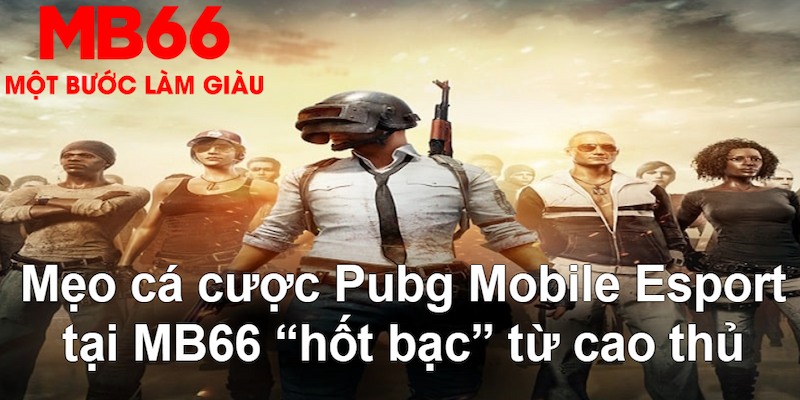 cwin888 gà chọi mộc hóa
