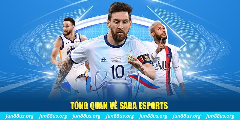 cwin888 gà chọi c1 tv trực tiếp hôm nay